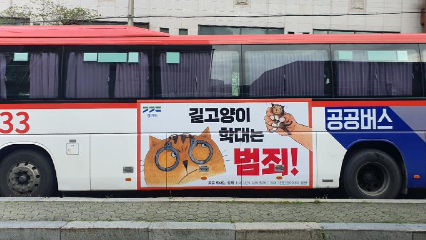 경기도+공공버스+길고양이+학대+범죄+예방+홍보물1.jpg